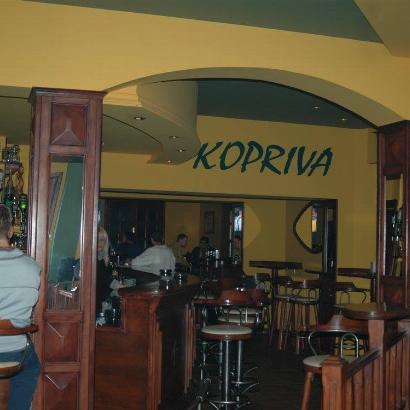 „КОПРИВА“